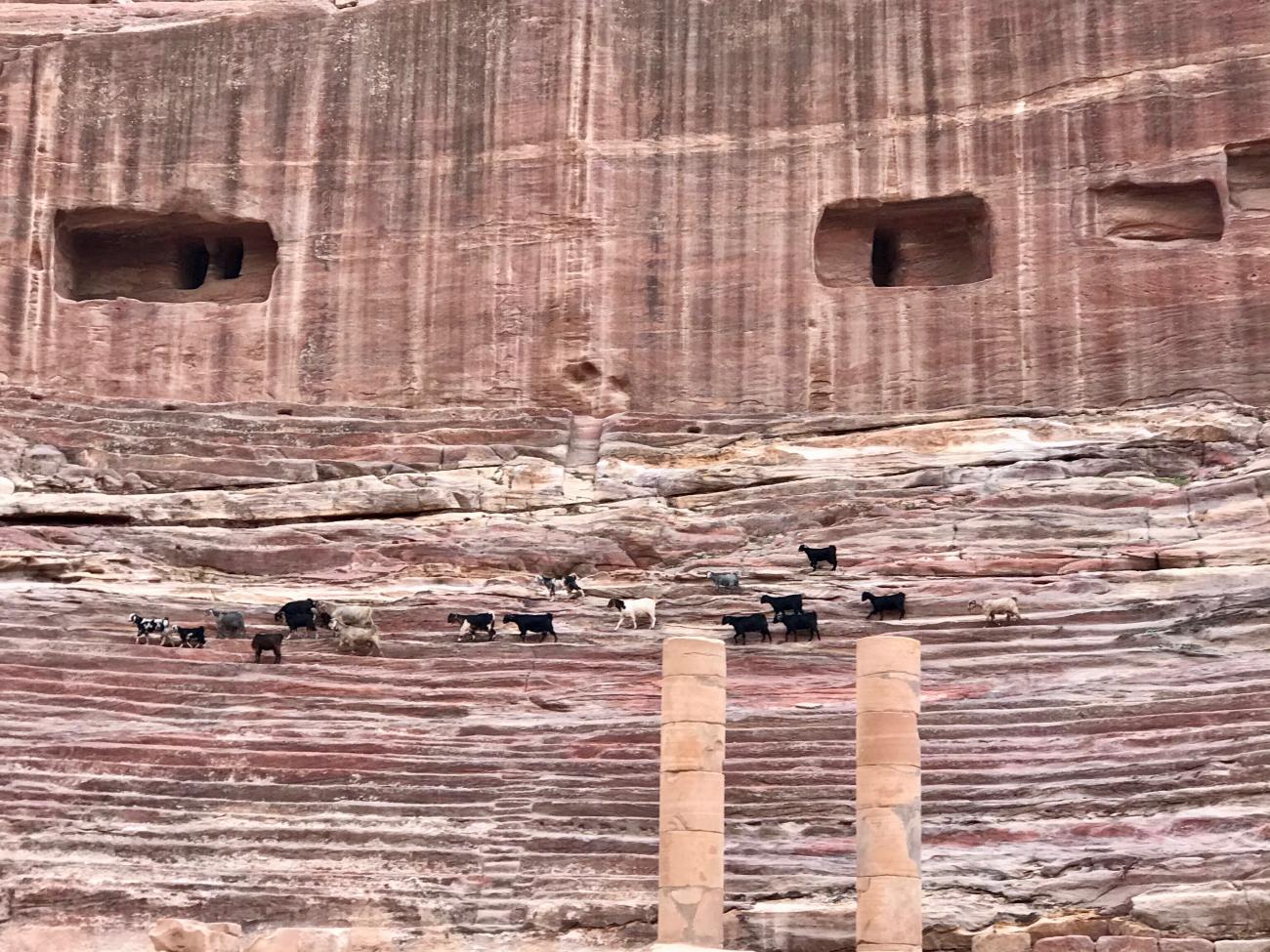 Exploring Petra